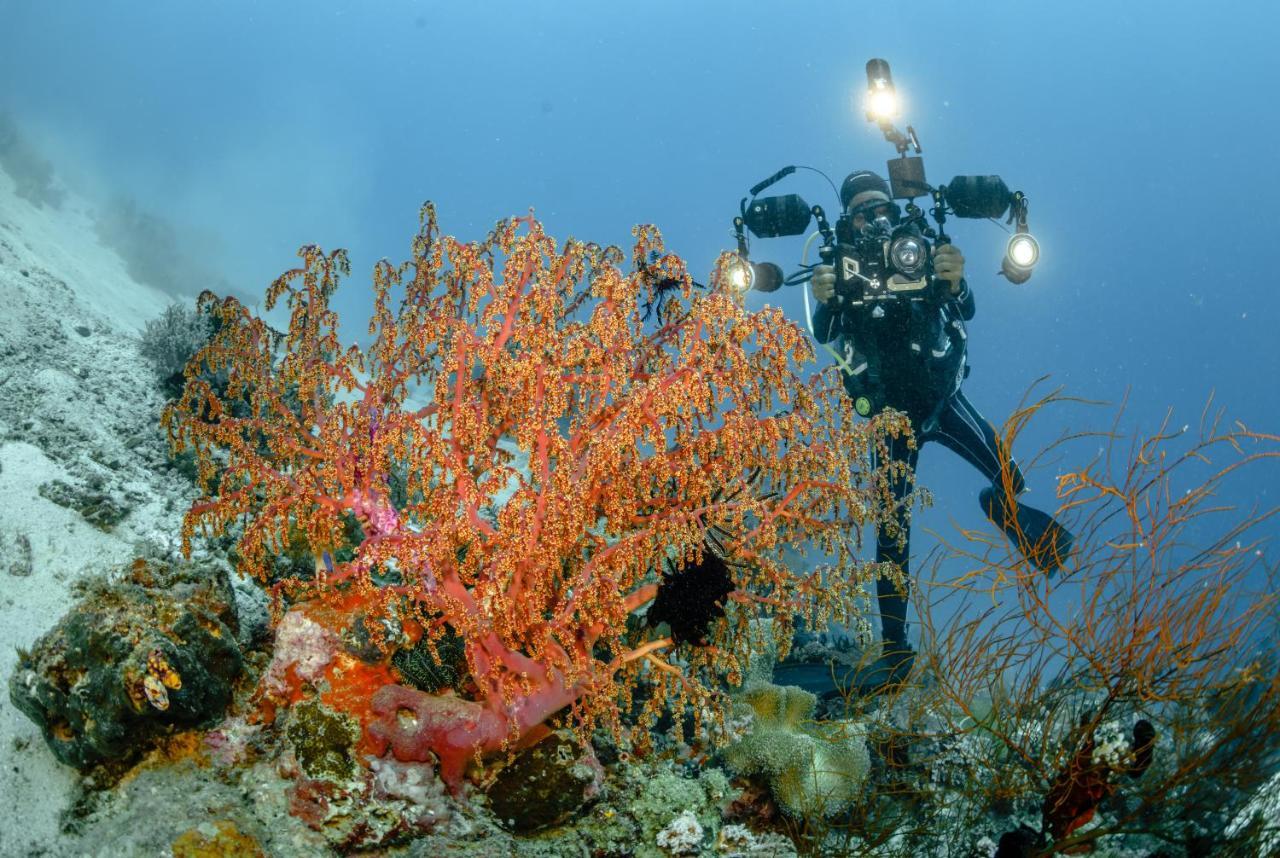 The Three P Beach Resort & Dive Center Agnay Buitenkant foto